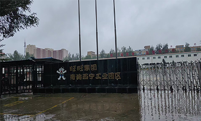 西寧旺旺食品有限公司