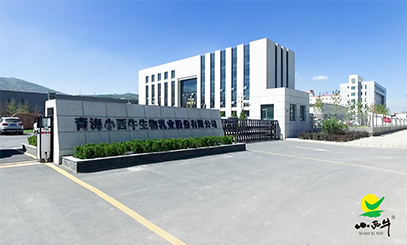 青海小西牛生物乳業股份有限公司